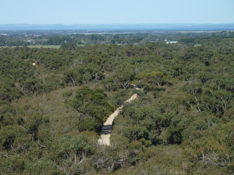 Cranbourne - Royal Botanic Gardens Cranbourne, Ballarto Road: South-easterly view from Trig Point Lookout towards Trig Track and Western Port
