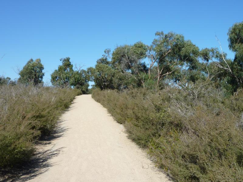 Cranbourne - Royal Botanic Gardens Cranbourne, Ballarto Road: View along Trig Track north-west of Trig Point Lookout