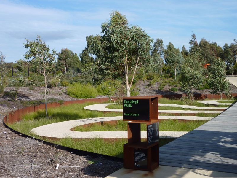Cranbourne - Australian Garden at Royal Botanic Gardens Cranbourne: Scribbly Path through Forest Garden on Eucalypt Walk