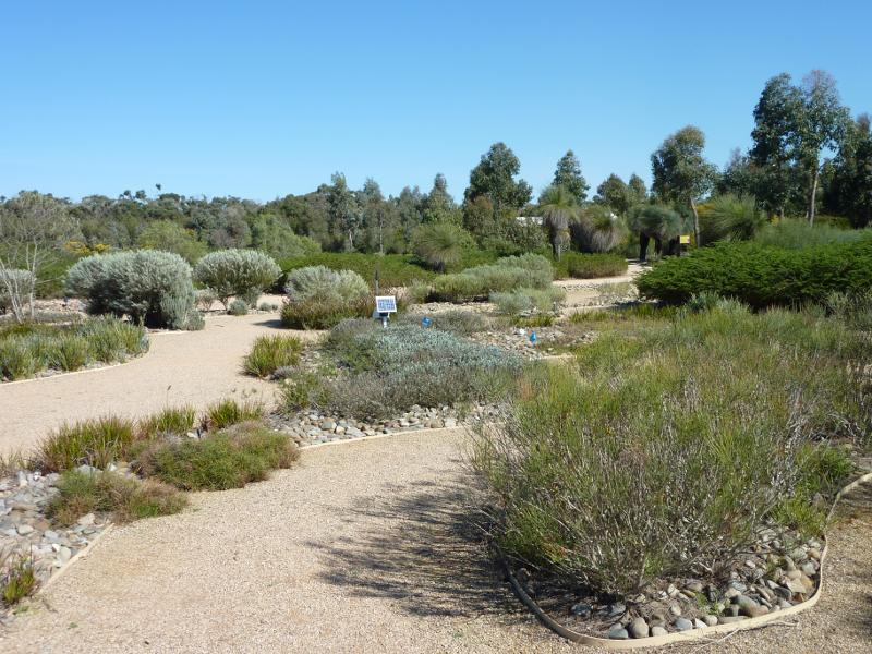 Cranbourne - Australian Garden at Royal Botanic Gardens Cranbourne: Arid Garden