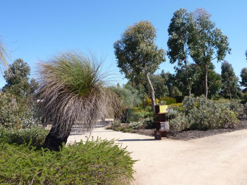 Cranbourne - Australian Garden at Royal Botanic Gardens Cranbourne: Eucalypt Walk