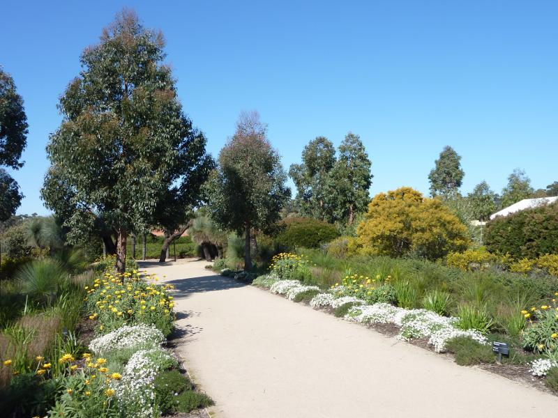 Cranbourne - Australian Garden at Royal Botanic Gardens Cranbourne - Stringybark Garden