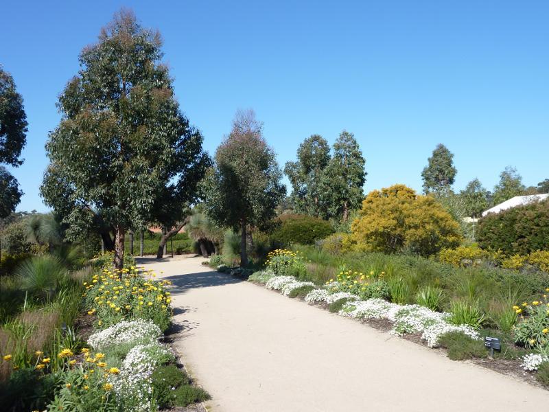 Cranbourne - Australian Garden at Royal Botanic Gardens Cranbourne: Stringybark Garden