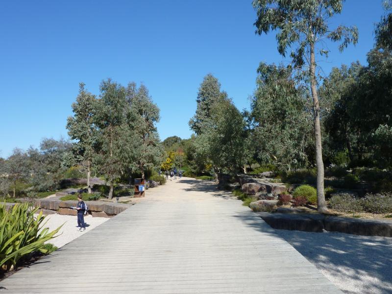 Cranbourne - Australian Garden at Royal Botanic Gardens Cranbourne: Box Garden