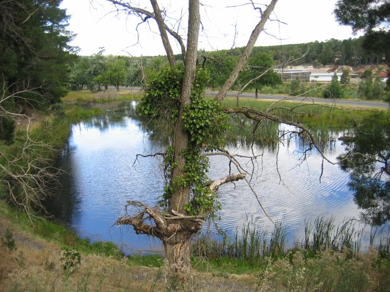 Creswick - Botanic Gardens and Park Lake, between Bridge Street and Castlemaine Road - View of Park Lake, south towards Castlemaine Rd