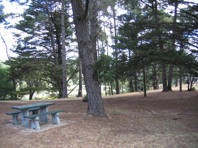 Creswick - Botanic Gardens and Park Lake, between Bridge Street and Castlemaine Road: Picnic areas near rotunda