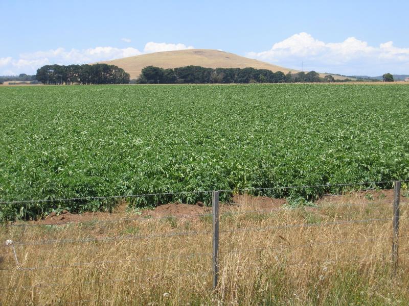 Creswick - Around Creswick and outskirts: Midland Highway around 12 km north of Creswick, view east across farm land
