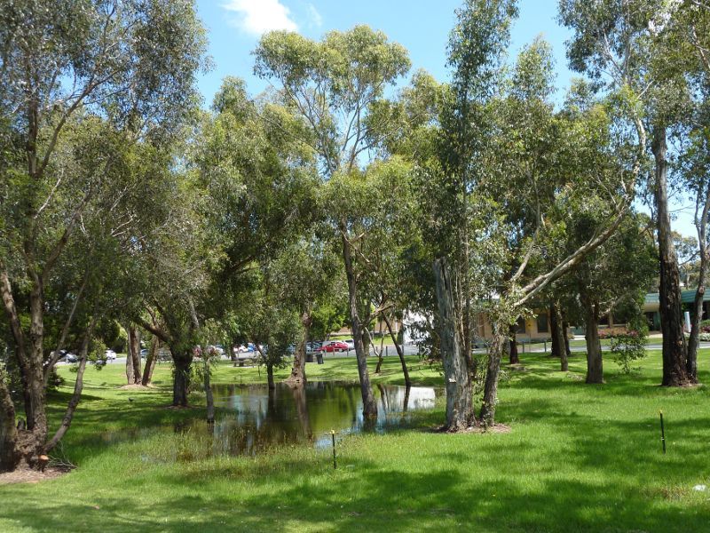 Croydon - Town Park, Mt Dandenong Road, Civic Square and Norton Road - Lake near Fred Geale Oval