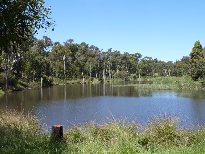 Croydon - Candlebark Walk Reserve, Lakeside Crescent: Easterly view along lake