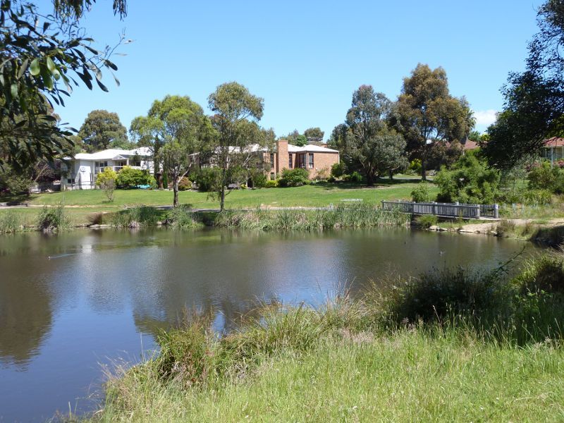 Croydon - Candlebark Walk Reserve, Lakeside Crescent: Southerly view across western end of lake