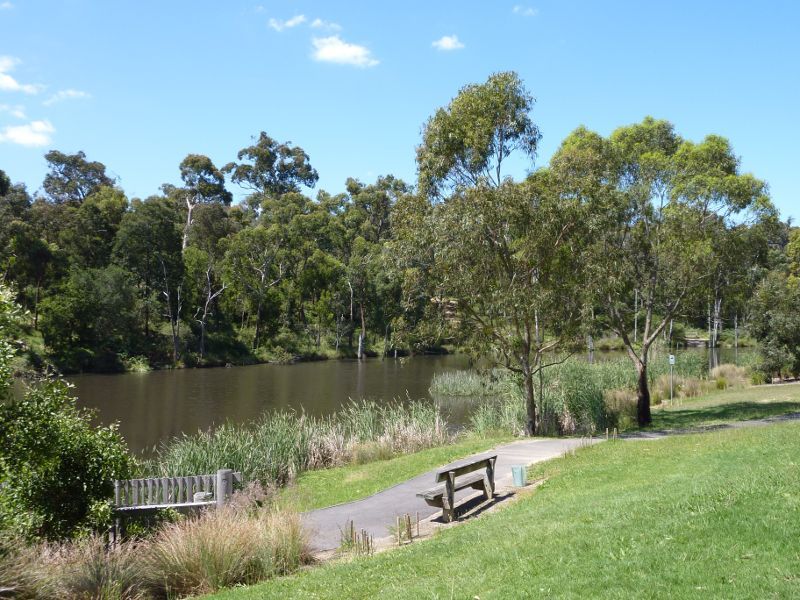 Croydon - Candlebark Walk Reserve, Lakeside Crescent: Southern side of lake