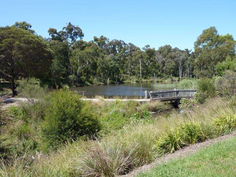Croydon - Candlebark Walk Reserve, Lakeside Crescent: Easterly view through park towards lake
