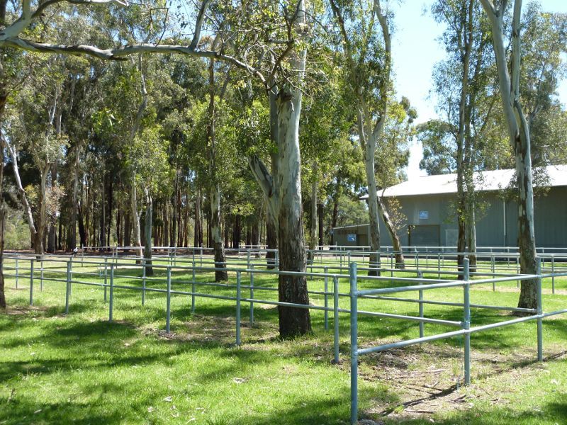 Dandenong - Greaves Reserve, Bennet Street: Fenced animal yards next to Exhibition Pavilion