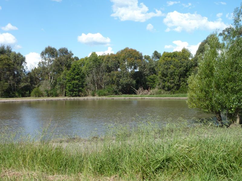 Dandenong - Tirhatuan Park, off Outlook Drive: Southern side of northern lake