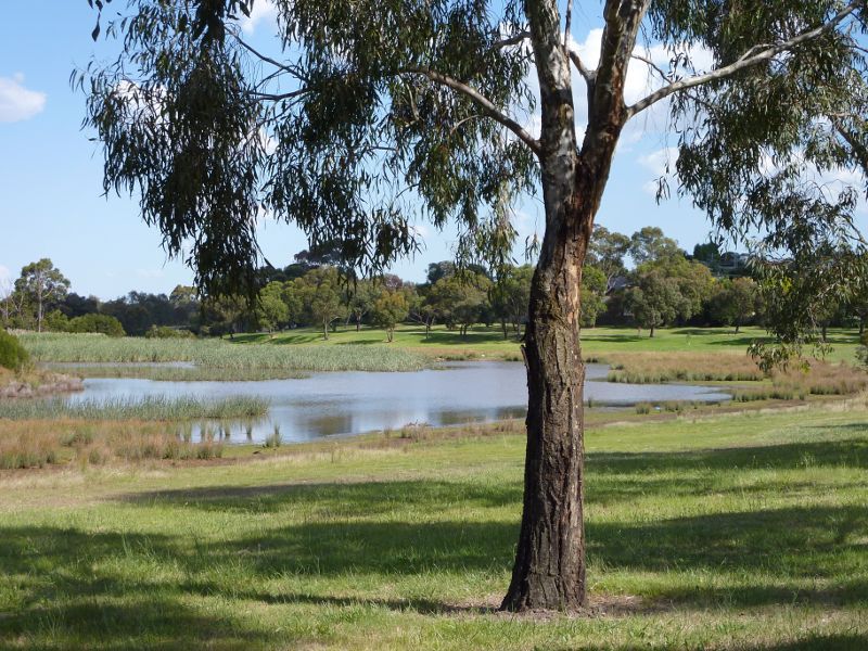 Dandenong - Tirhatuan Park, off Outlook Drive: Southern lake