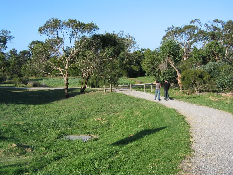 Dandenong - Wetlands and Dandenong Creek at east end of Police Road: Walking track through wetlands