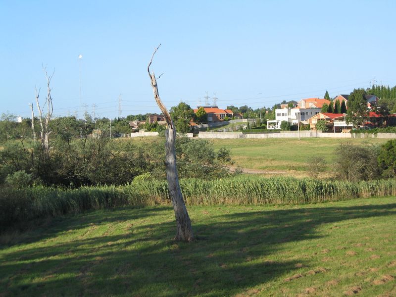 Dandenong - Wetlands and Dandenong Creek at east end of Police Road: View towards residential area in Rowville from wetlands