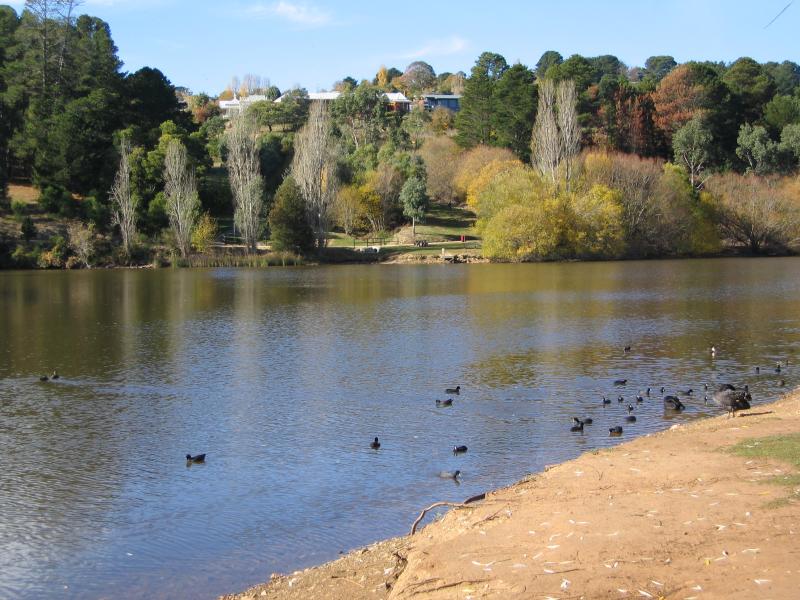 Daylesford - Lake Daylesford: View east across lake from main car park towards jetty at Turtle Point