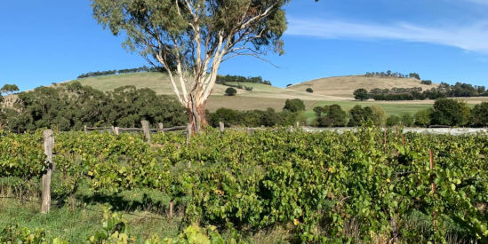 Captains Creek, Blampied