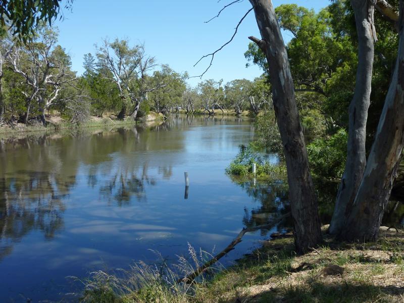 Dimboola - Wimmera River at boat ramp, southern end of Lloyd Street - View north-west along river