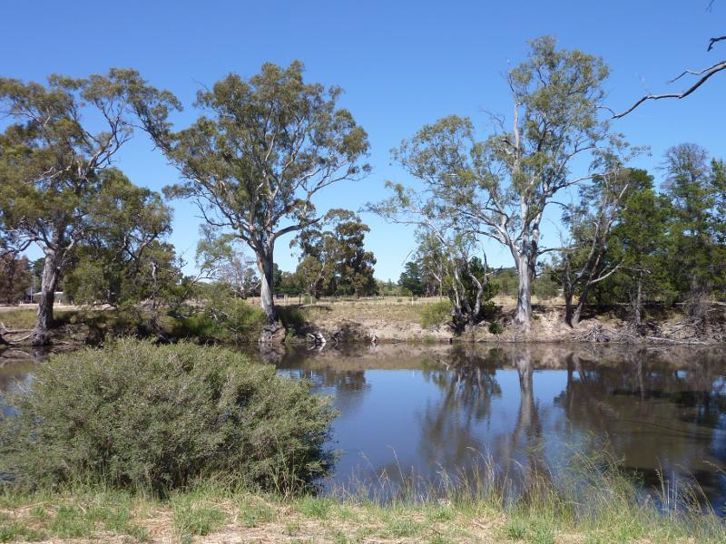Dimboola - Wimmera River at boat ramp, southern end of Lloyd Street - View across river
