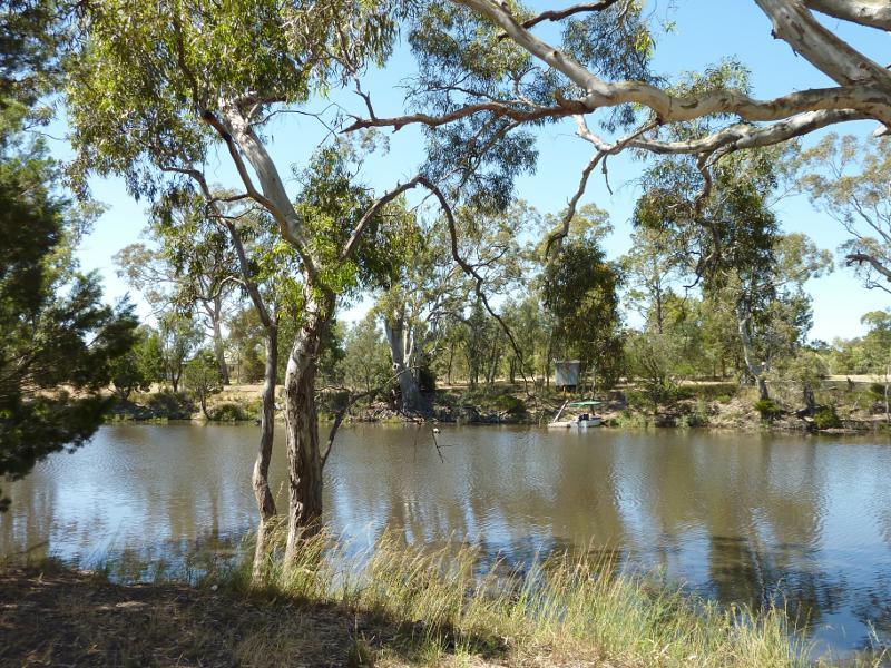 Dimboola - Wimmera River at boat ramp, southern end of Lloyd Street - View south across river