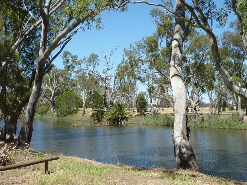 Dimboola - Wimmera River at Wimmera Street bridge - View west across river