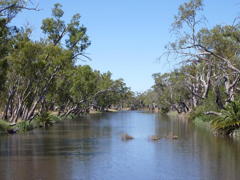 Dimboola - Wimmera River at Wimmera Street bridge - View south along river from bridge