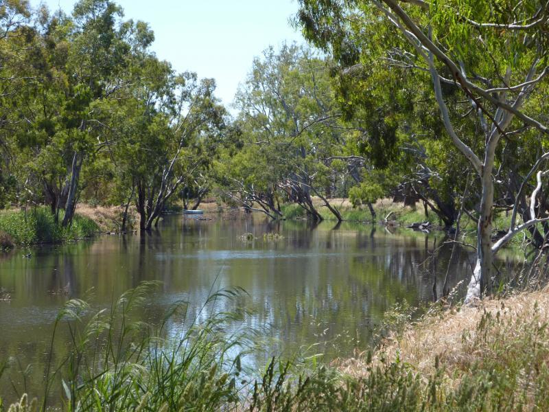 Dimboola - Golf Course Road along Wimmera River - View south-east along river