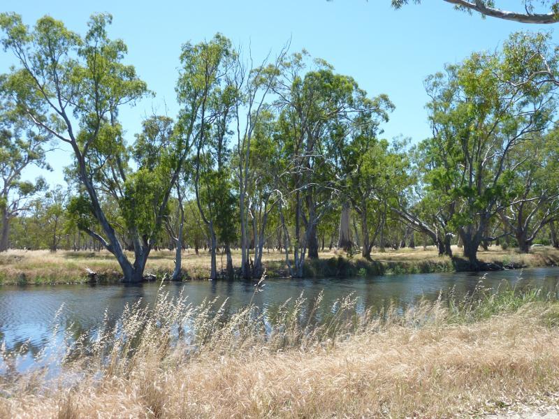Dimboola - Golf Course Road along Wimmera River - View north-east across river at turn-off to weir