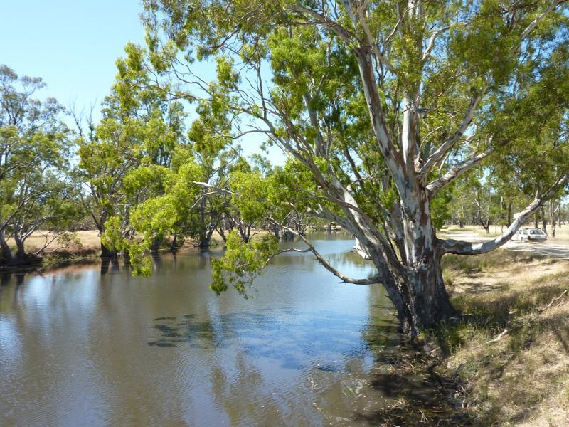 Dimboola - Weir on Wimmera River, off Golf Course Road - View south-east along river