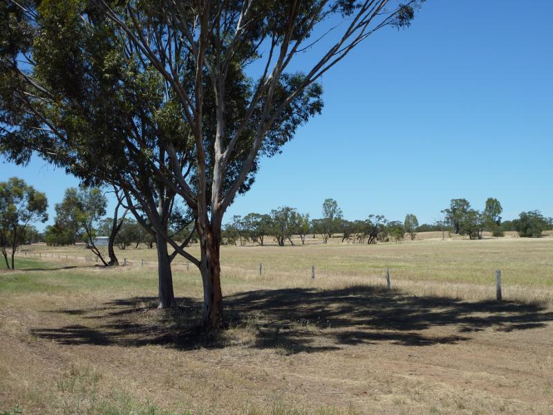 Dimboola - Western Highway, north-west of Dimboola - Southerly view, Nhill Rd near Western Hwy