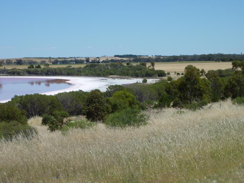 Dimboola - Pink Lake, Western Highway north-west of Dimboola - View from car park towards northern end of lake