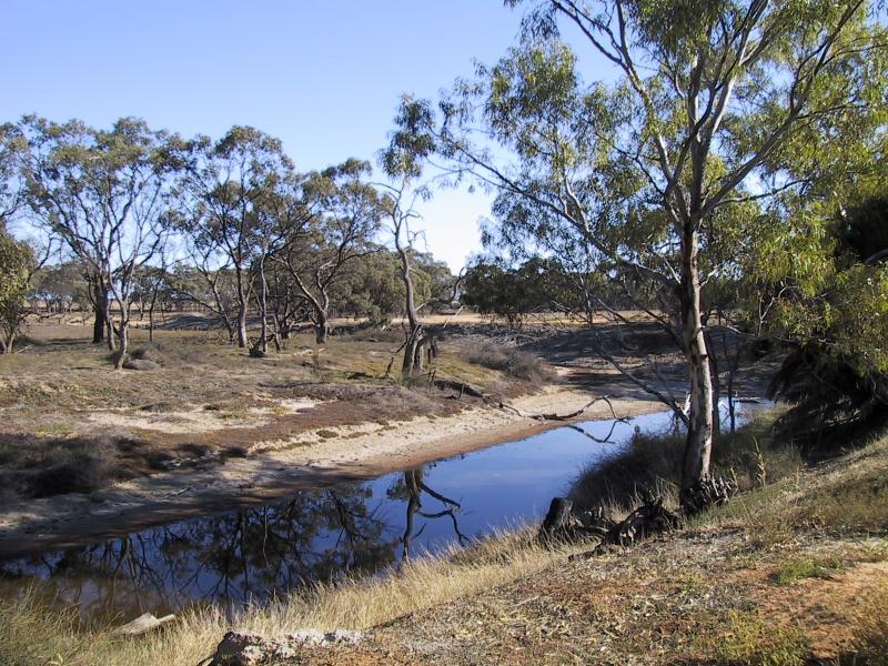 Donald - Bullocks Head Lookout, Richardson River, Byrne Street: View along river