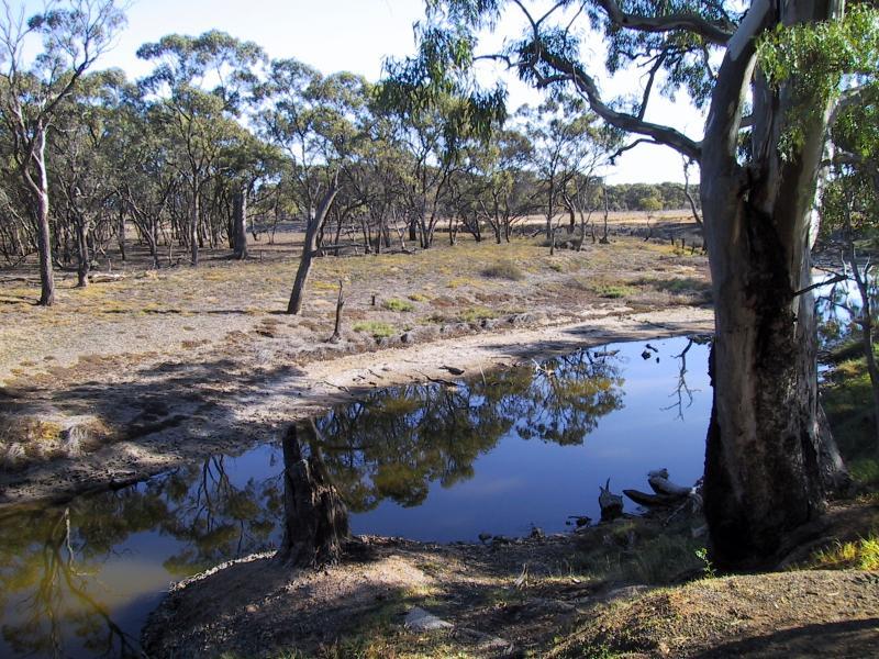Donald - Bullocks Head Lookout, Richardson River, Byrne Street: View across river