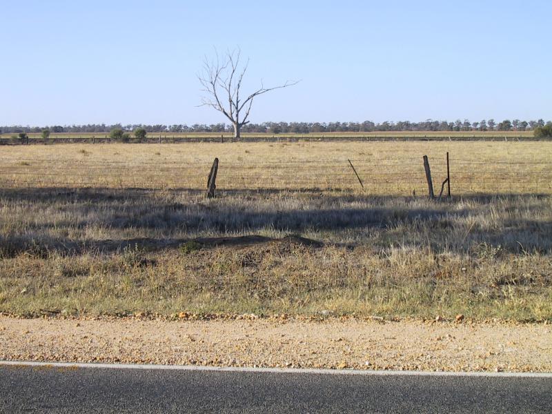 Donald - Outskirts of Donald: North-easterly view, Sunraysia Hwy, western outskirts of town