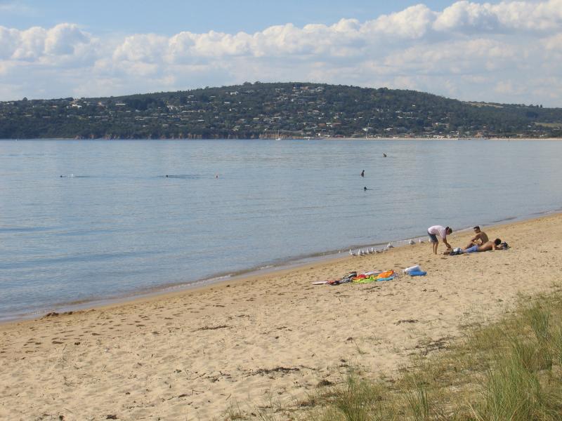 Dromana - Coast near Dromana Pier and Dromana Foreshore Reserve: View north-east along coast near pier