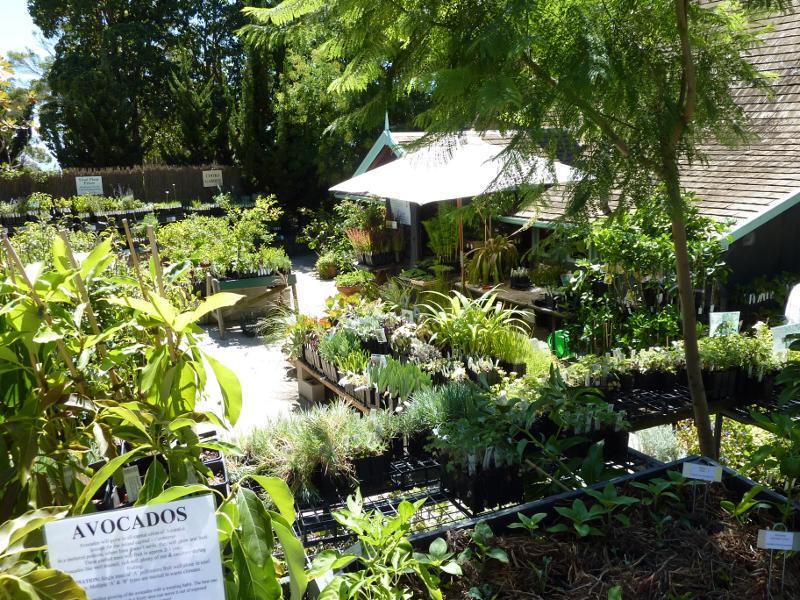 Dromana - Heronswood, Latrobe Parade: Nursery