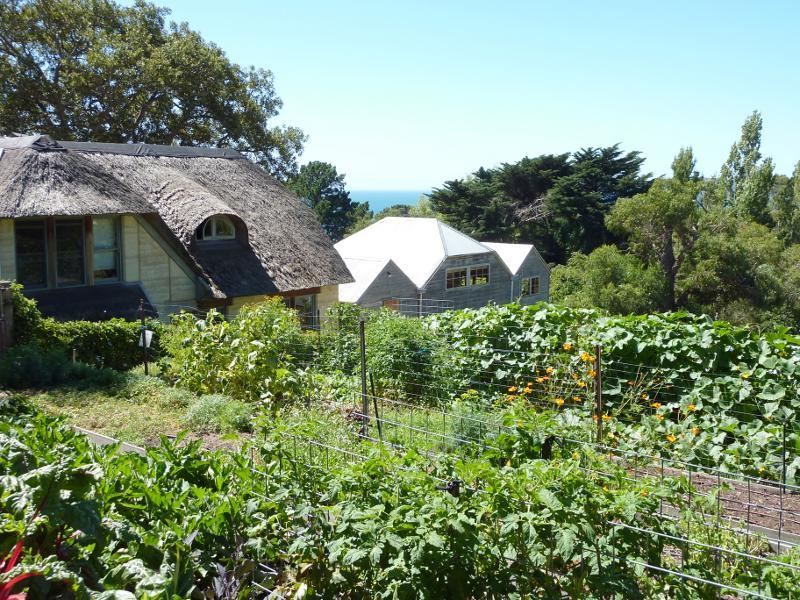 Dromana - Heronswood, Latrobe Parade: Food production garden behind cafe