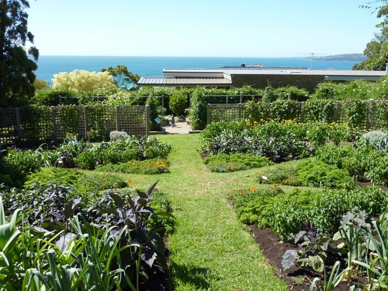 Dromana - Heronswood, Latrobe Parade: Vegetable parterre overlooking the bay