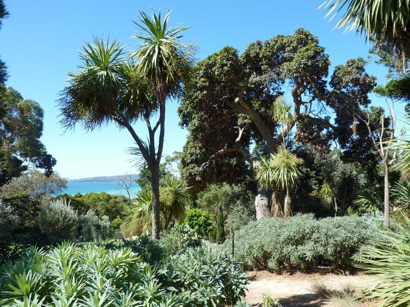 Dromana - Heronswood, Latrobe Parade: Gardens at northern end of property