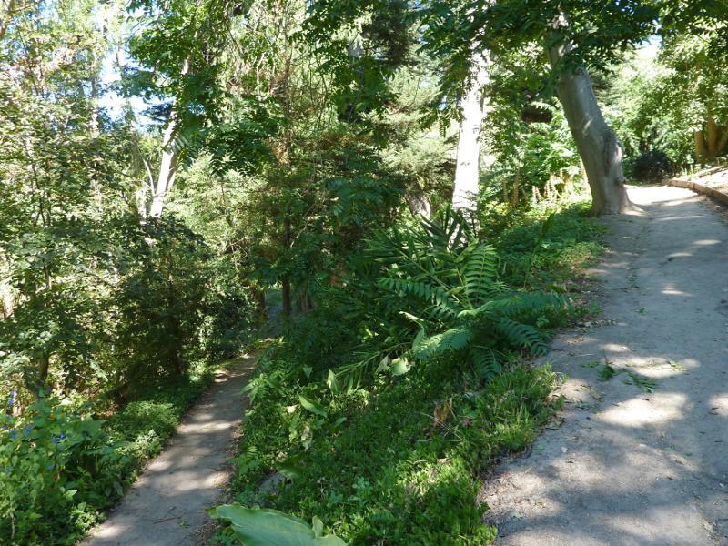 Dromana - Heronswood, Latrobe Parade: Pathway through forest along eastern edge of property