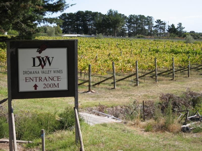 Dromana - Dromana Valley Wines, Nepean Highway: View of winery from Nepean Hwy