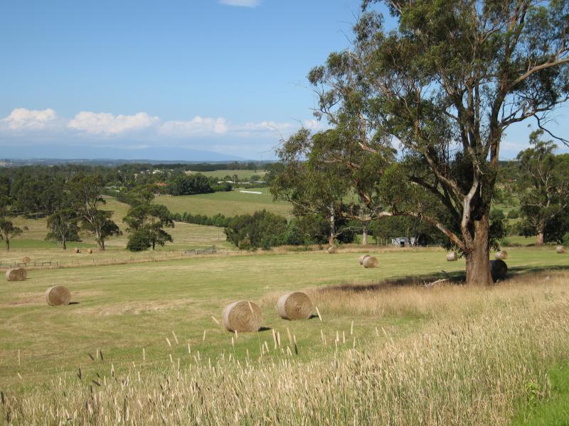 Drouin - Longwarry-Drouin Road near Cook Road: North-easterly view