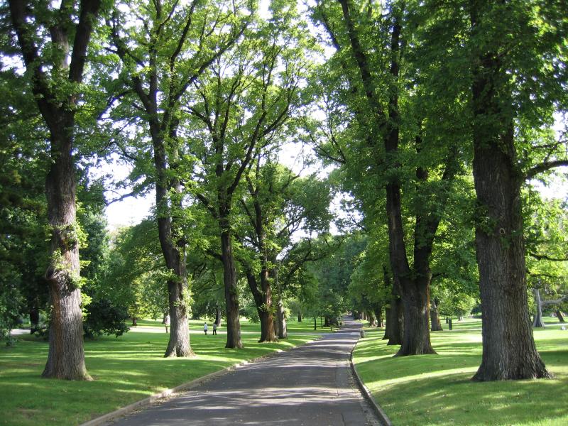 East Melbourne - Fitzroy Gardens: Pathway through gardens