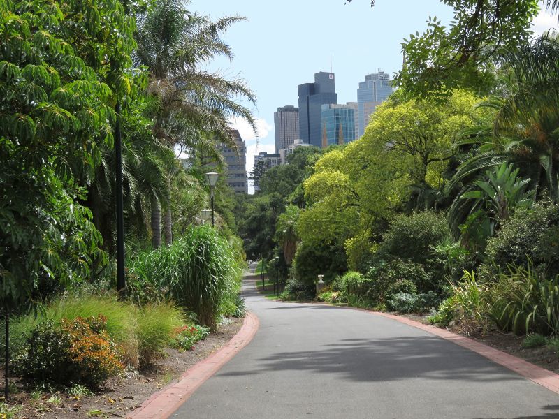 East Melbourne - Fitzroy Gardens: View along path towards Melbourne CBD