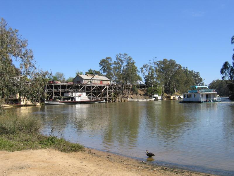 Echuca - The historic Port of Echuca: View north along Murray River towards wharf from Aquatic Reserve