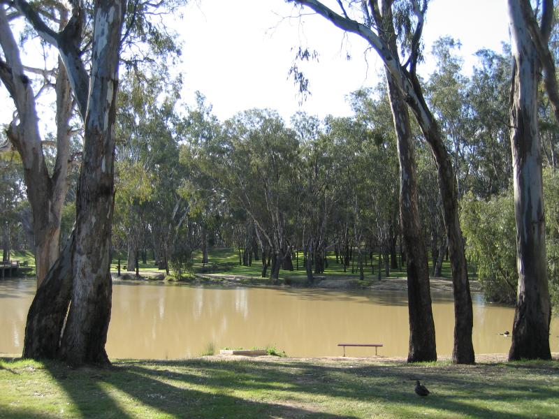 Echuca - Aquatic Reserve and Murray River bridge - Waterways around Aquatic Reserve near Visitor Information Centre