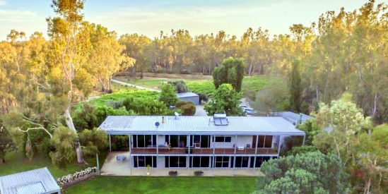 Cape Horn Vineyard, Kanyapella