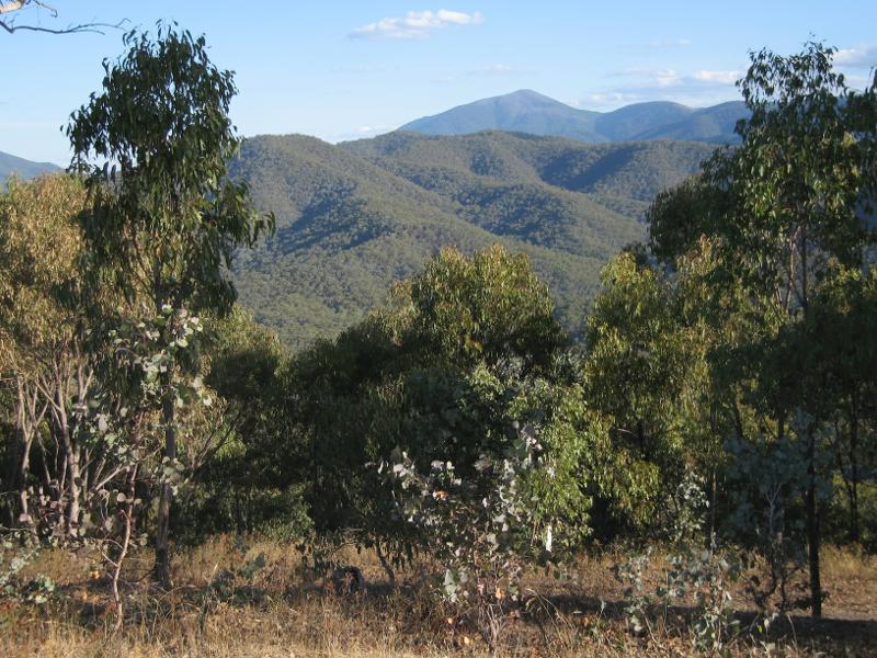 Eildon - Mount Pinniger - View south from Mt Pinniger lookout